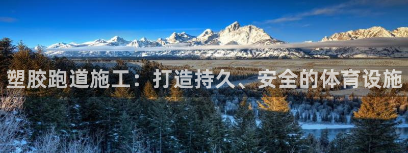 百度红足一1世：塑胶跑道施工：打造持久、安全的体育设施