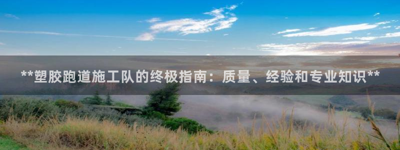 红足一1世皇冠：**塑胶跑道施工队的终极指南：质量、经验和专业知识**