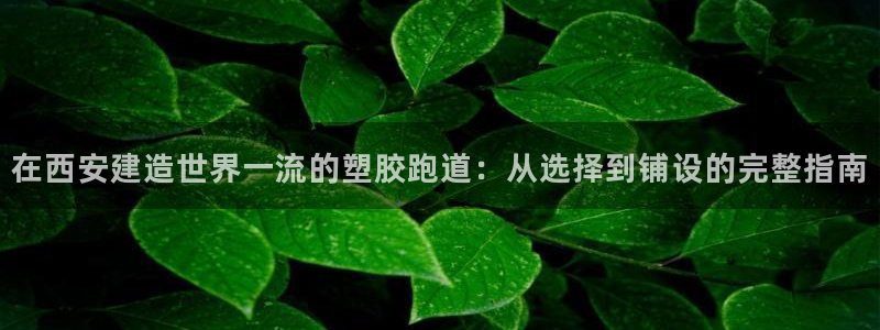 66814红足：在西安建造世界一流的塑胶跑道：从选择到铺设的完整指南