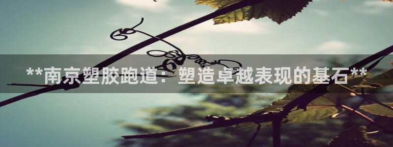 红足一1世皇冠登录：**南京塑胶跑道：塑造卓越表现的基石**