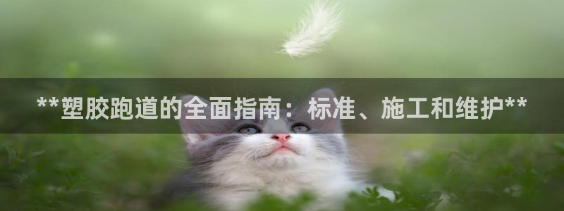 红足一1世77814：**塑胶跑道的全面指南：标准、施工和维护**