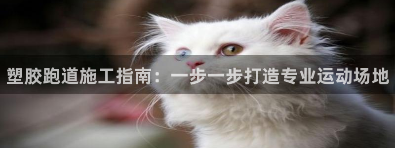 百度红足一1世：塑胶跑道施工指南：一步一步打造专业运动场地