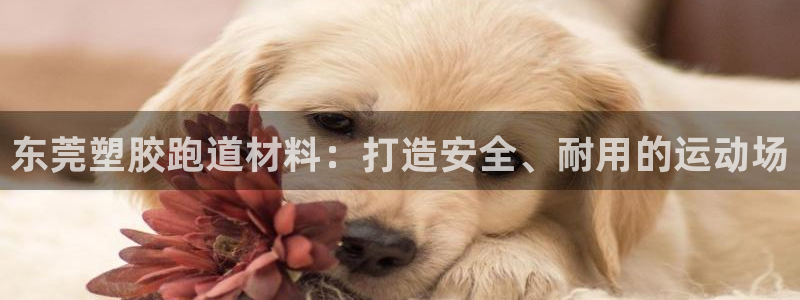 红足一1世手机版新皇冠：东莞塑胶跑道材料：打造安全、耐用的运动场