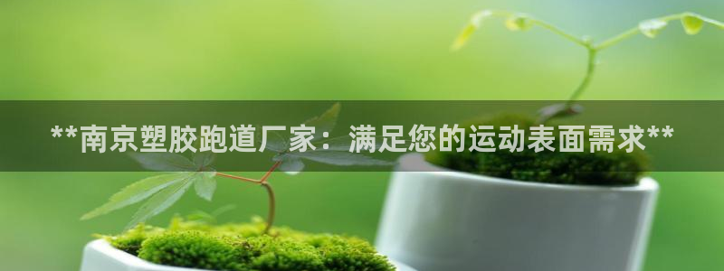 红足1世官网：**南京塑胶跑道厂家：满足您的运动表面需求**