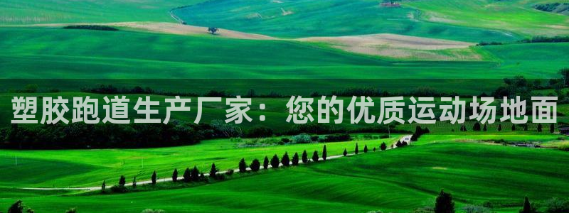 红足一1世666814足球：塑胶跑道生产厂家：您的优质运动场地面