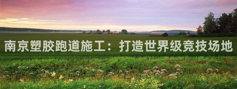 红足一1世手机开奖：南京塑胶跑道施工：打造世界级竞技场地