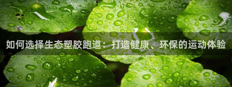 666814红·足一世比分：如何选择生态塑胶跑道：打造健康、环保的运动体验