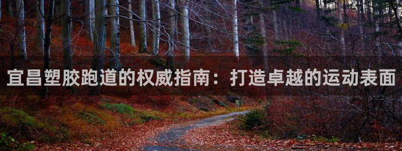 红足体育网：宜昌塑胶跑道的权威指南：打造卓越的运动表面