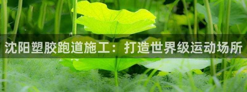 红足1世足球比分 localhost：沈阳塑胶跑道施工：打造世界级运动场所