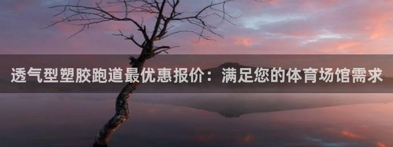 红足一一世：透气型塑胶跑道最优惠报价：满足您的体育场馆需求