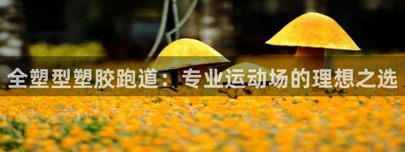 777814红·足一世比分篮球：全塑型塑胶跑道：专业运动场的理想之选
