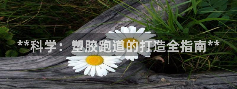 红足一1世官网比分：**科学：塑胶跑道的打造全指南**
