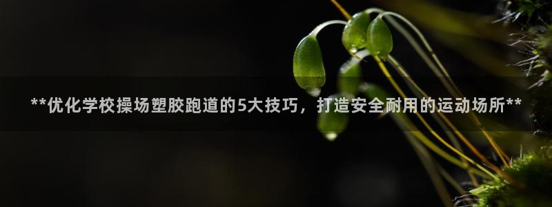 红足网足球直播：**优化学校操场塑胶跑道的5大技巧，打造安全耐用的运动场所**