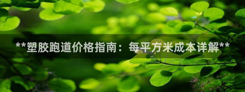 333814红足1世：**塑胶跑道价格指南：每平方米成本详解**