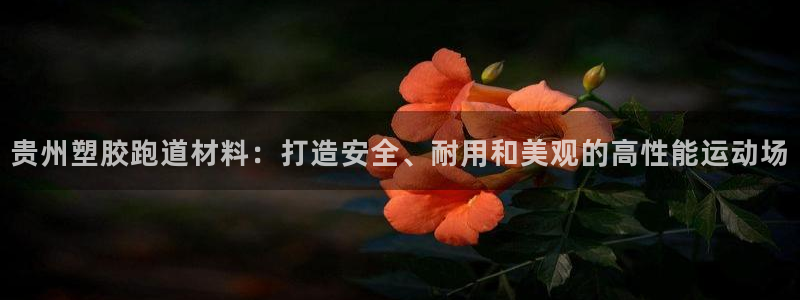 红足一比分网：贵州塑胶跑道材料：打造安全、耐用和美观的高性能运动场