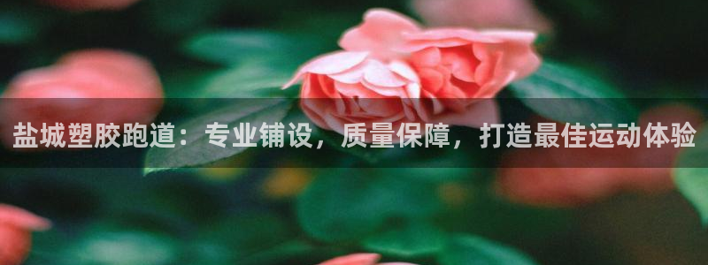 333814红·足一世比分：盐城塑胶跑道：专业铺设，质量保障，打造最佳运动体验