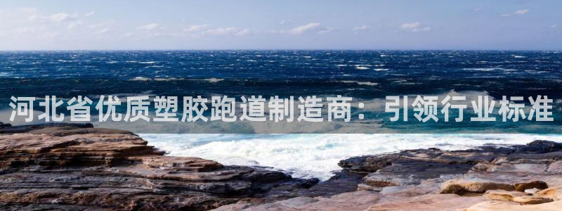 红足足球网：河北省优质塑胶跑道制造商：引领行业标准