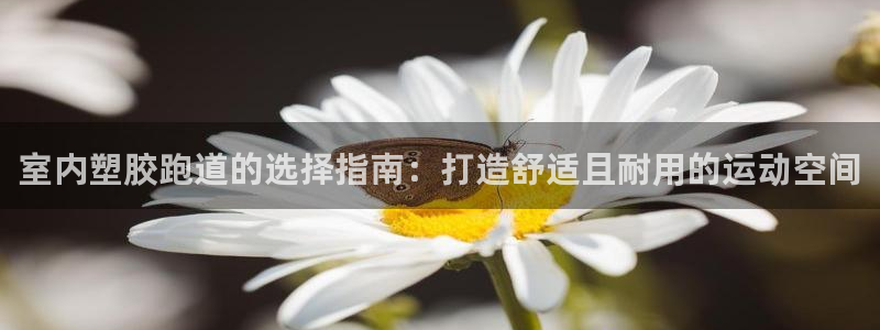 红足一1世手机皇冠：室内塑胶跑道的选择指南：打造舒适且耐用的运动空间