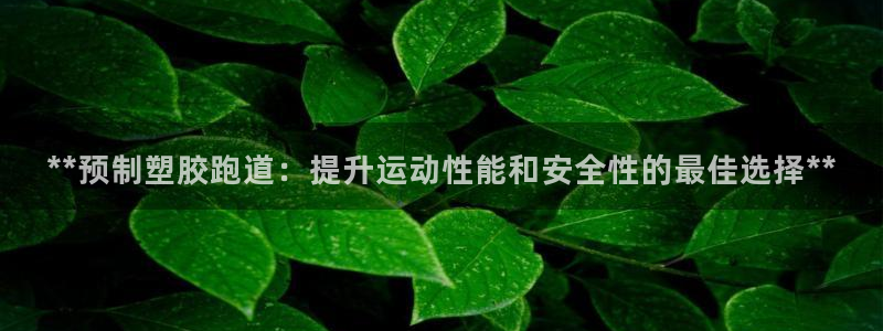 百度红足一1世：**预制塑胶跑道：提升运动性能和安全性的最佳选择**