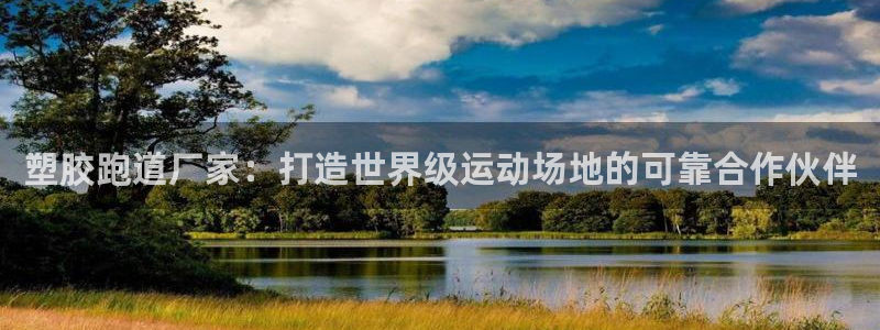 百度红足一1世：塑胶跑道厂家：打造世界级运动场地的可靠合作伙伴
