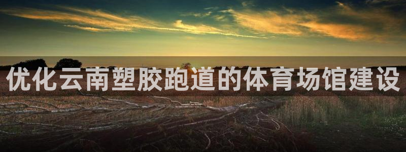 红足一1世官网足球推荐真人：优化云南塑胶跑道的体育场馆建设