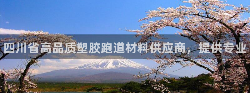 红足1一世足球手机：四川省高品质塑胶跑道材料供应商，提供专业