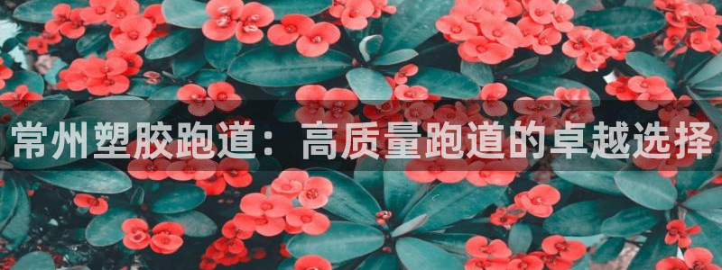 红足网足球直播：常州塑胶跑道：高质量跑道的卓越选择