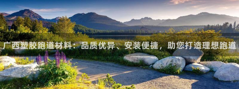 777814红·足一世：广西塑胶跑道材料：品质优异、安装便捷，助您打造理想跑道