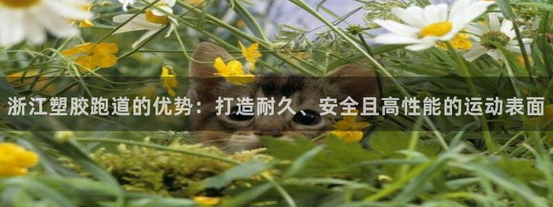红足一一世足球网开奖记录：浙江塑胶跑道的优势：打造耐久、安全且高性能的运动表面