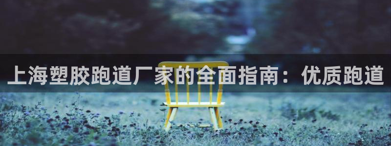 55814红足1世：上海塑胶跑道厂家的全面指南：优质跑道