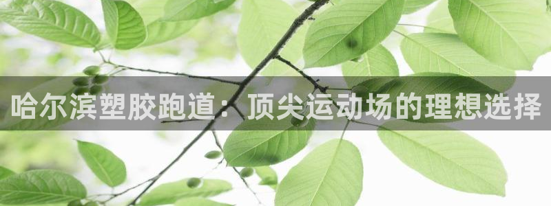 百度红足一1是为什么