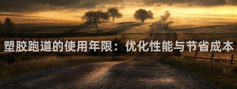 新2足球平台出租网站：塑胶跑道的使用年限：优化性能与节省成本