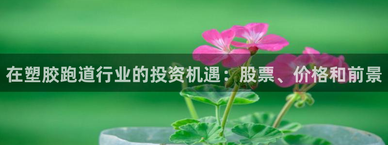 红足1世足球网址：在塑胶跑道行业的投资机遇：股票、价格和前景