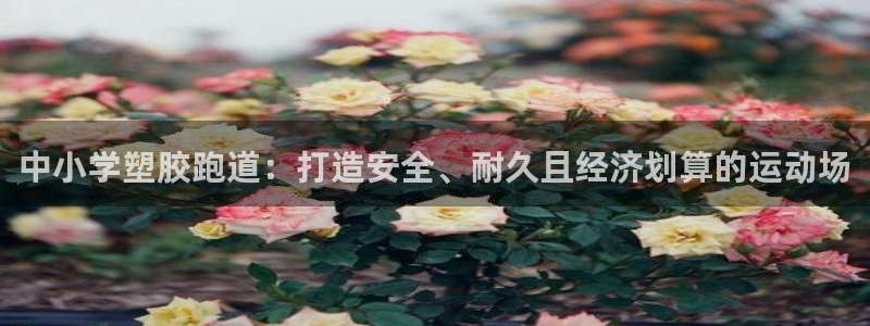 777814红·足一世比分篮球：中小学塑胶跑道：打造安全、耐久且经济划算的运动场