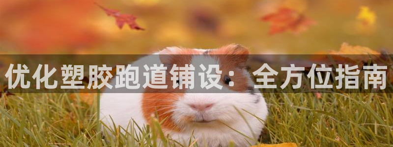 红足1世手机板：优化塑胶跑道铺设：全方位指南