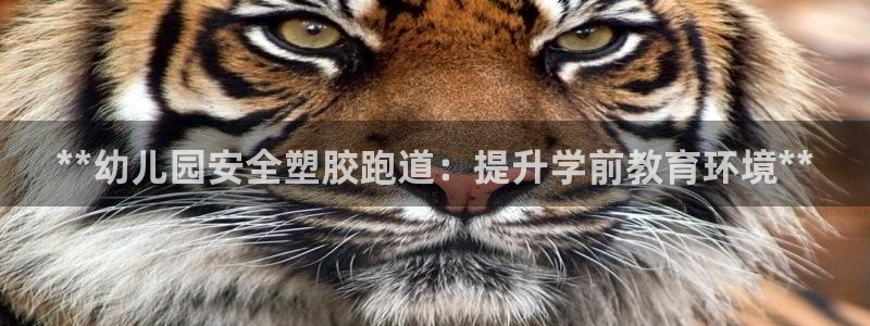 666814红·足一世比分