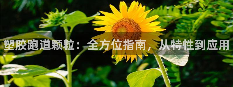 红足i世足球手机网：塑胶跑道颗粒：全方位指南，从特性到应用