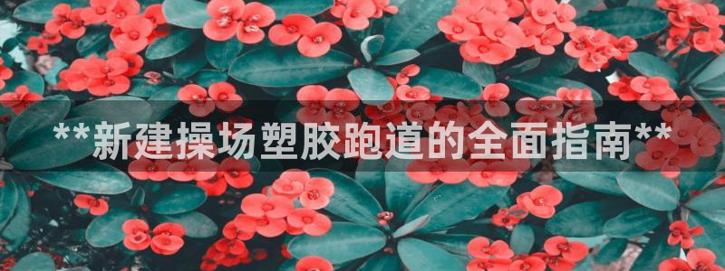百度红足一1视频在线观看：**新建操场塑胶跑道的全面指南**