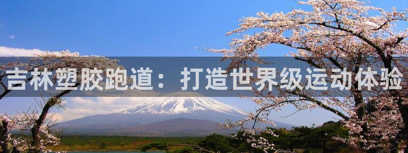红足1世手机版下载：吉林塑胶跑道：打造世界级运动体验