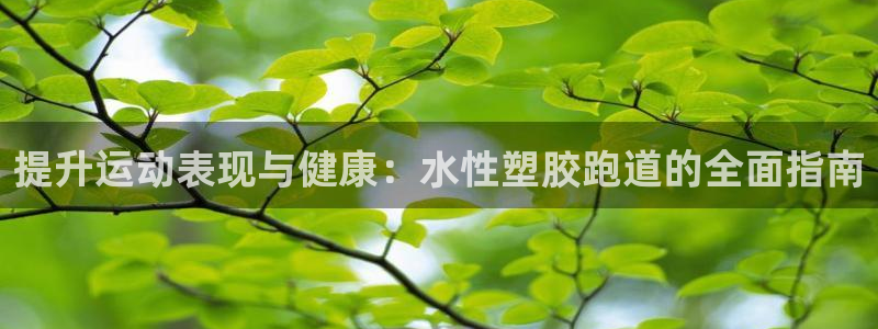 红足一1世666814足球：提升运动表现与健康：水性塑胶跑道的全面指南