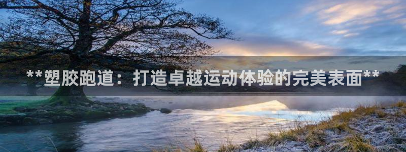 红足1世官网：**塑胶跑道：打造卓越运动体验的完美表面**