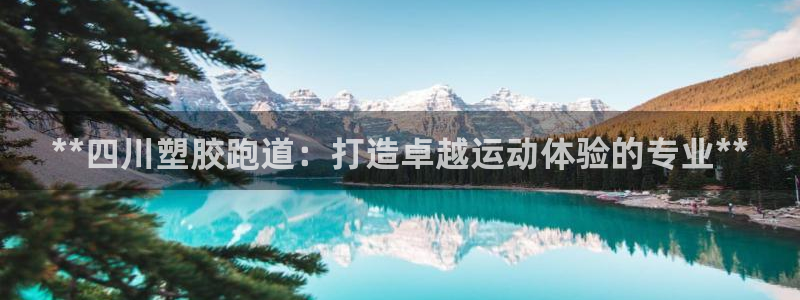 红足1世手机下载：**四川塑胶跑道：打造卓越运动体验的专业**