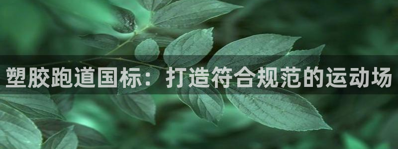 红足1一世足球手机：塑胶跑道国标：打造符合规范的运动场