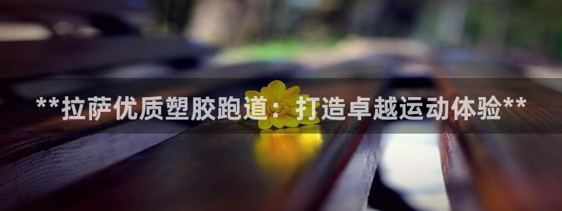 红足l一世开奖现场62ty：**拉萨优质塑胶跑道：打造卓越运动体验**