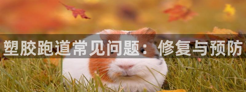 333814红·足一世比分：塑胶跑道常见问题：修复与预防