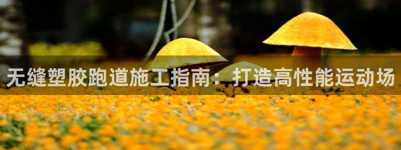 红足一1世即时比分：无缝塑胶跑道施工指南：打造高性能运动场