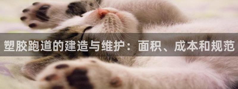 百度红足一1是为什么：塑胶跑道的建造与维护：面积、成本和规范