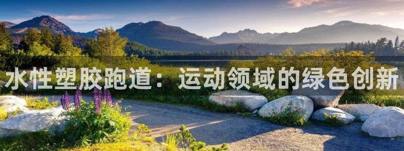 红姐现场直播开奖记录：水性塑胶跑道：运动领域的绿色创新