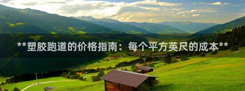 红足1世官网：**塑胶跑道的价格指南：每个平方英尺的成本**