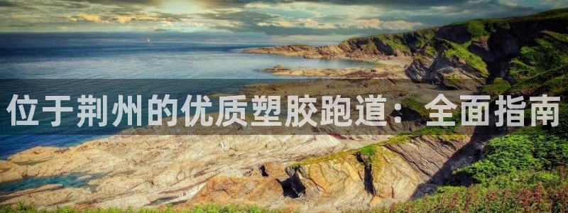 红足一1世66814：位于荆州的优质塑胶跑道：全面指南